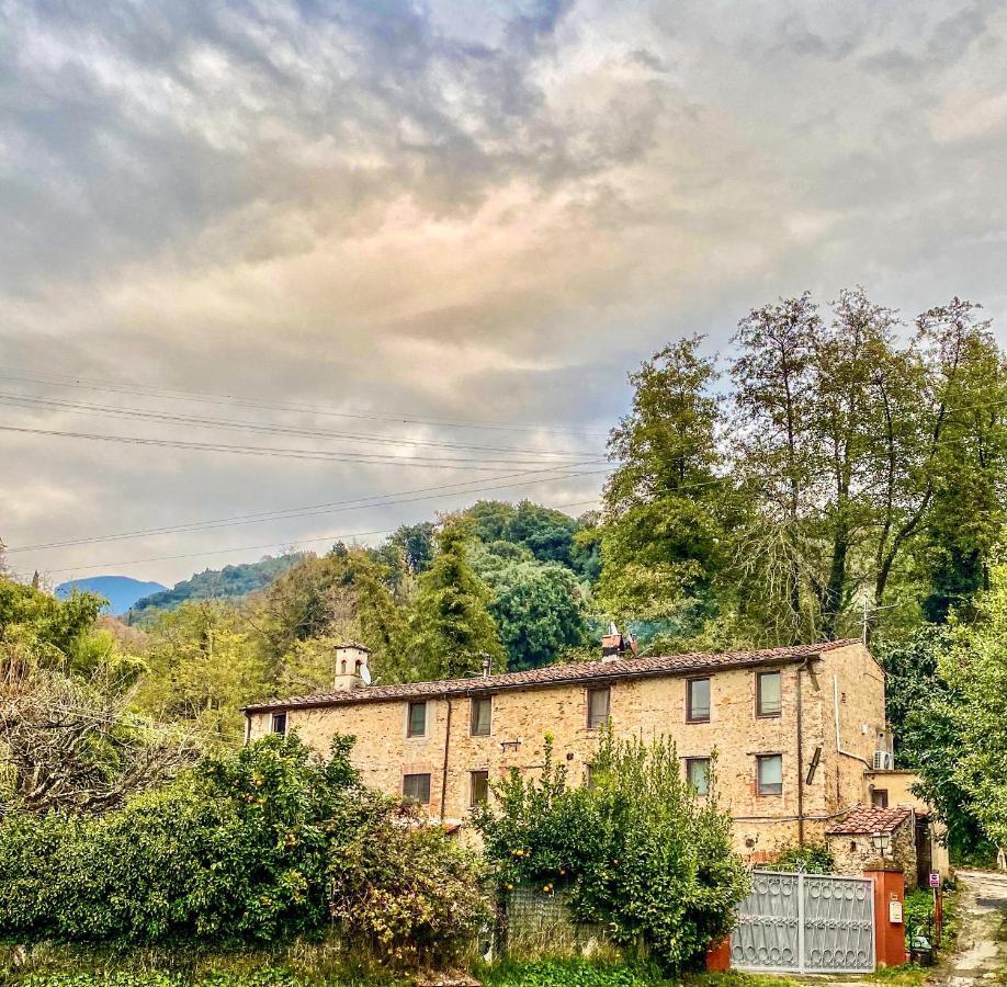 Guest House Antico Frantoio Pietrasanta Affittacamere Exterior photo