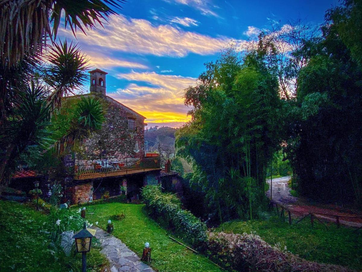 Guest House Antico Frantoio Pietrasanta Affittacamere Exterior photo