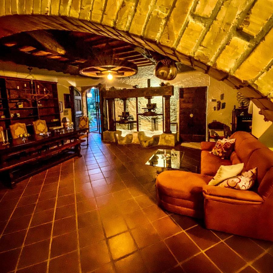 Guest House Antico Frantoio Pietrasanta Affittacamere Exterior photo