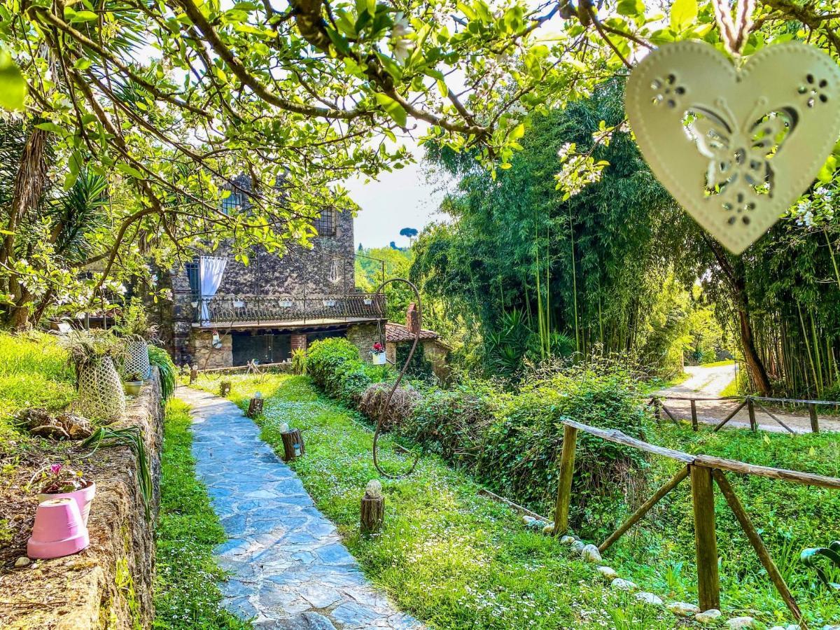 Guest House Antico Frantoio Pietrasanta Affittacamere Exterior photo