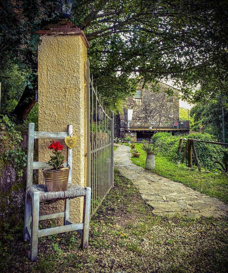 Guest House Antico Frantoio Pietrasanta Affittacamere Exterior photo