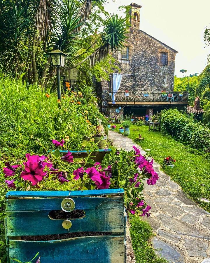 Guest House Antico Frantoio Pietrasanta Affittacamere Exterior photo