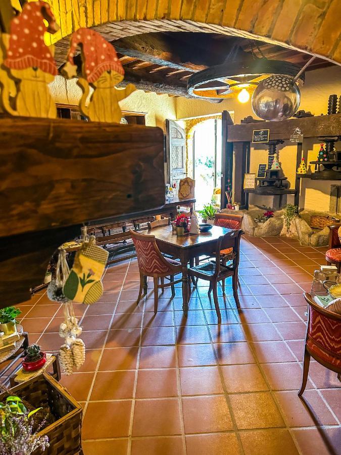 Guest House Antico Frantoio Pietrasanta Affittacamere Exterior photo
