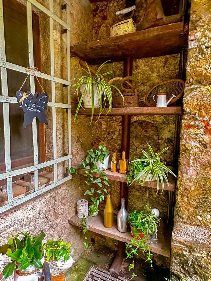 Guest House Antico Frantoio Pietrasanta Affittacamere Exterior photo