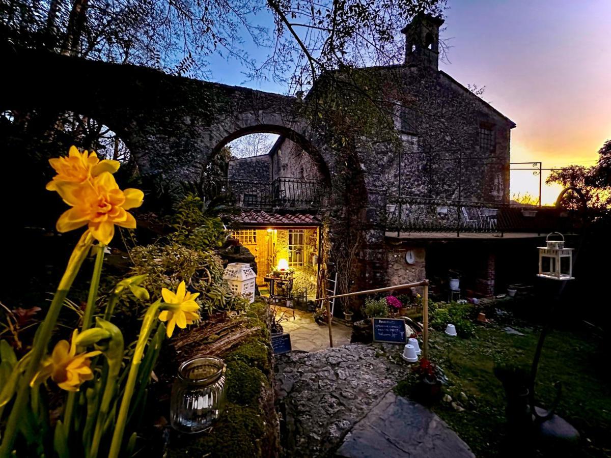 Guest House Antico Frantoio Pietrasanta Affittacamere Exterior photo