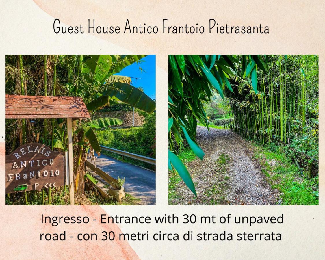 Guest House Antico Frantoio Pietrasanta Affittacamere Exterior photo